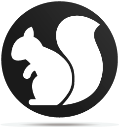 0133016 gobo animal squirrel