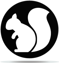 Gobo Animal Squirrel