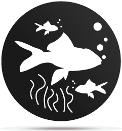 0133009 gobo animal fish