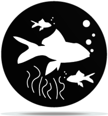 Gobo Animal Fish