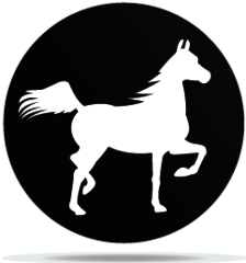 Gobo Animal Horse