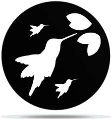 Gobo Animal Humming Bird