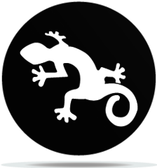 Gobo Animal Lizard