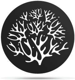 Gobo breakup pattern coral reef