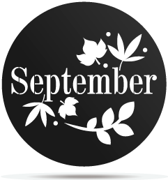 1033009 gobo months september