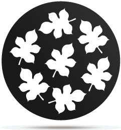 1333005 gobo plants 05