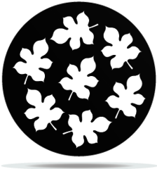Gobo Plants 05
