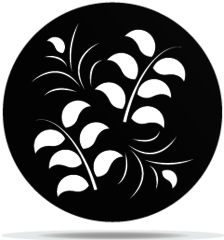 Gobo Plants 13