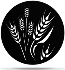 Gobo Plants 14