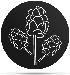 1333015 gobo plants 15