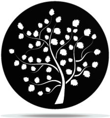 Gobo Plants 16