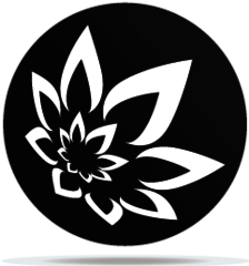 Gobo Spiral 14