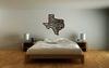 Texas large
