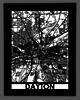 Dayton