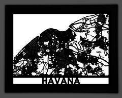 Havana