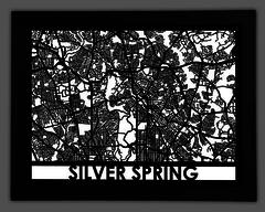 Silver Spring